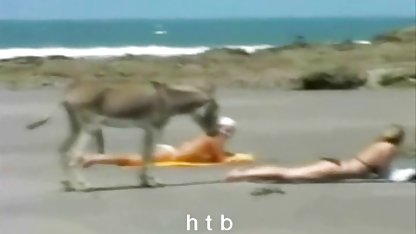 Bor kumpulan video colmek Anda dengan mainan mereka, hot babes